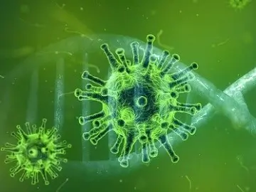 Het coronavirus: wat zijn je rechten en plichten als werkgever